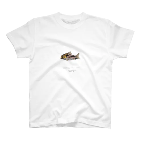 Corydoras axelrodi Regular Fit T-Shirt