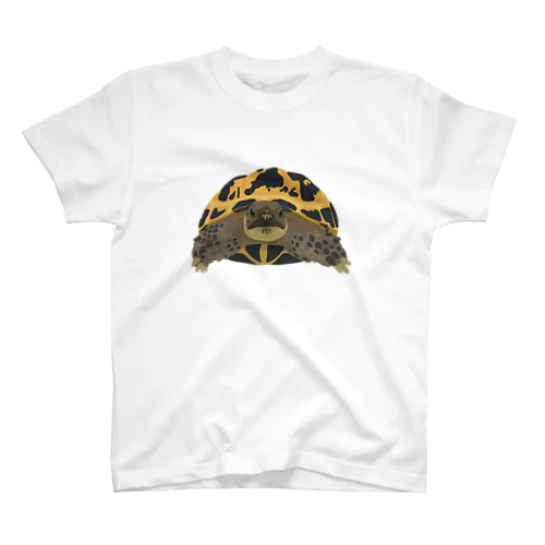 ロシアリクガメ Regular Fit T-Shirt