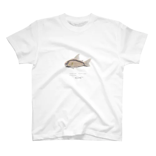 Corydoras glanti スタンダードTシャツ