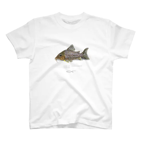 Corydoras haraldschultzi スタンダードTシャツ