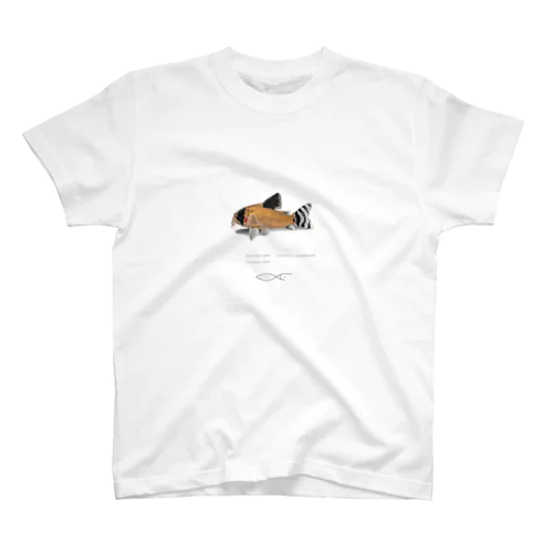 Corydoras oiapoquensis Regular Fit T-Shirt