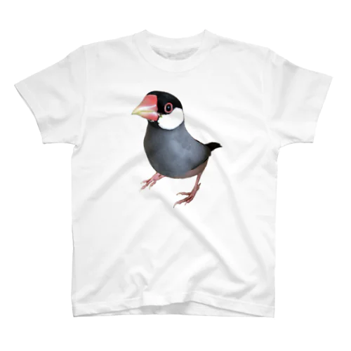 ど根性文鳥 Regular Fit T-Shirt