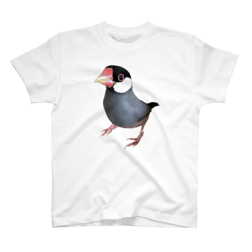 ど根性文鳥 スタンダードTシャツ