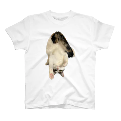 変な猫 Regular Fit T-Shirt