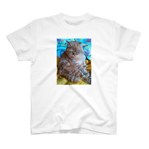 うちの猫ちゃん Regular Fit T-Shirt
