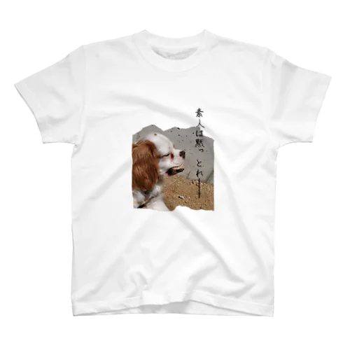 素人は黙っとれ顔の犬 スタンダードTシャツ