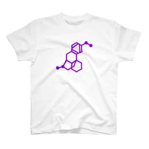 メジコンカラーのDXM スタンダードTシャツ