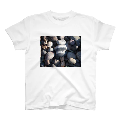 礼文島の石 Regular Fit T-Shirt