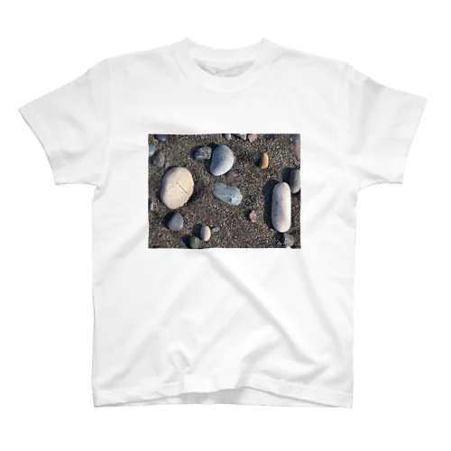 礼文島の石 Regular Fit T-Shirt