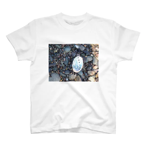 礼文島の石と鮑の殻 スタンダードTシャツ