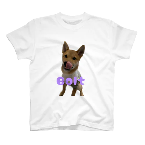 柴犬ボルト スタンダードTシャツ