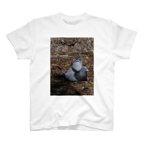 世界のバグみたいな鳩 Regular Fit T-Shirt