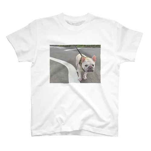 歩行拒否犬 Regular Fit T-Shirt