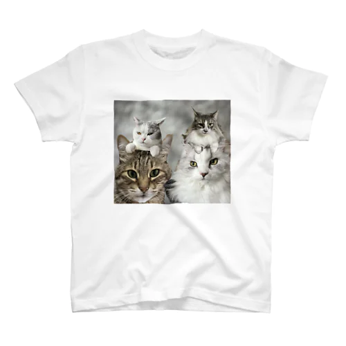 ねこそらこうめひめ Regular Fit T-Shirt