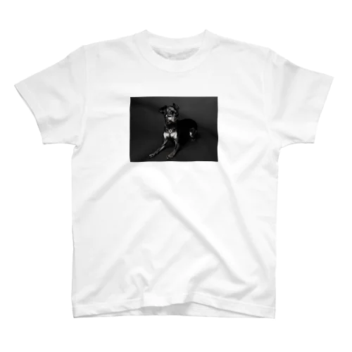 ROGER_Ver.1 Regular Fit T-Shirt