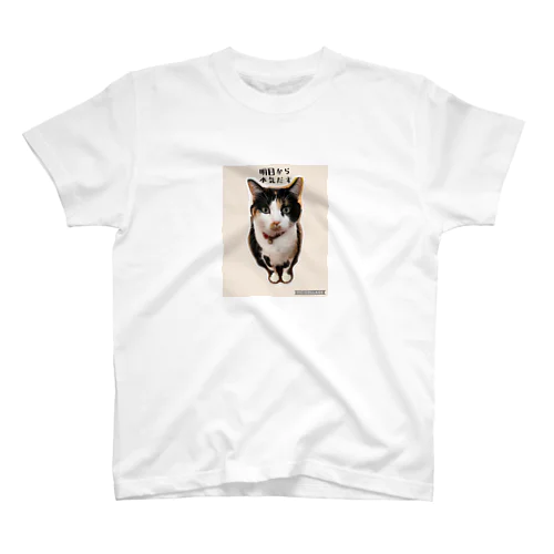 三毛猫なっちゃん、 Regular Fit T-Shirt