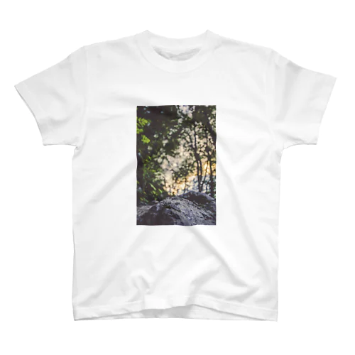stone and woods Regular Fit T-Shirt