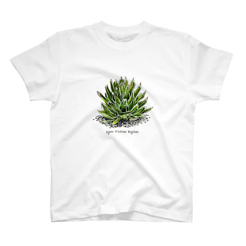 Agave Victriae Reginae スタンダードTシャツ