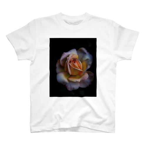 LADY ROSE スタンダードTシャツ