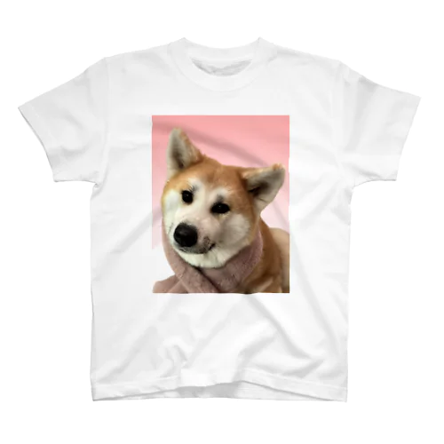 あきたこまち スタンダードTシャツ