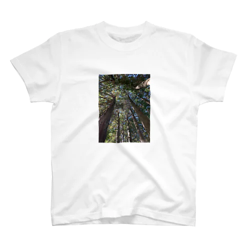 お山の木々 Regular Fit T-Shirt