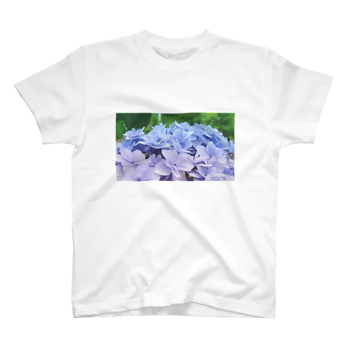 紫陽花グラデーション スタンダードTシャツ
