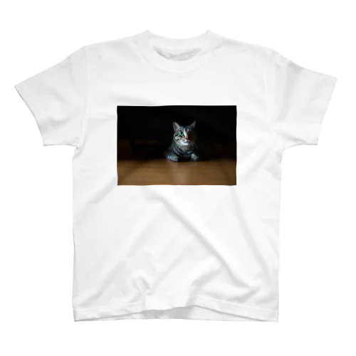 影からこちらを覗く猫 Regular Fit T-Shirt