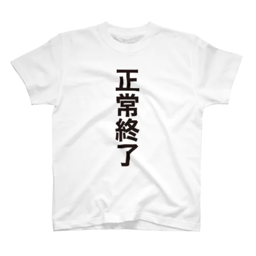 正常終了（システムエンジニア御用達・IT用語デザイン） スタンダードTシャツ