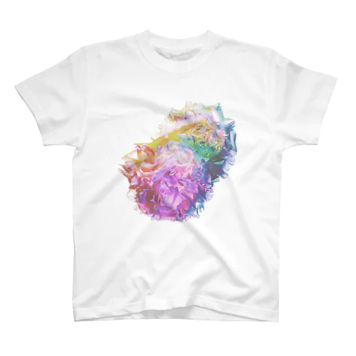 Rainbow Carnation Regular Fit T-Shirt