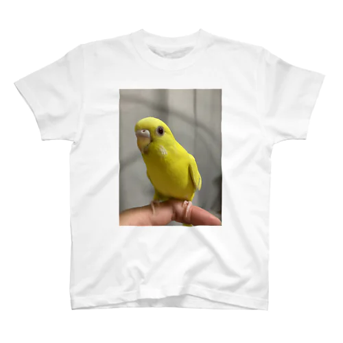 ルチノーインコ Regular Fit T-Shirt