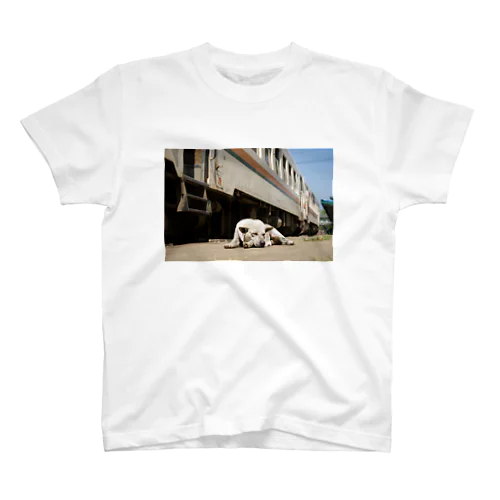 ミャンマーに渡った元JR東海キハ11系気動車の傍らで眠る野良犬 Regular Fit T-Shirt