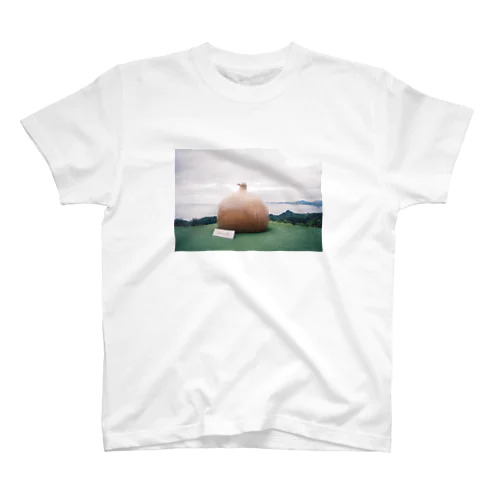 onion Regular Fit T-Shirt