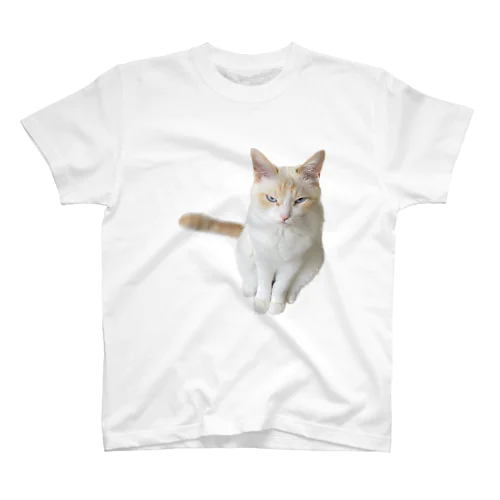 angry cat Regular Fit T-Shirt