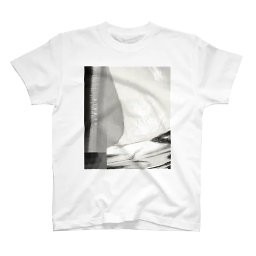 Mirror (Front Print) Regular Fit T-Shirt