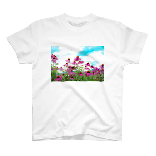 Echinacea スタンダードTシャツ