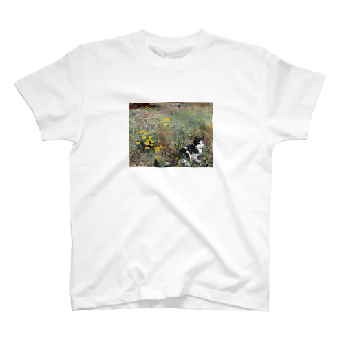 ブルーノ・リリエフォッシュ  《花壇の猫》 スタンダードTシャツ