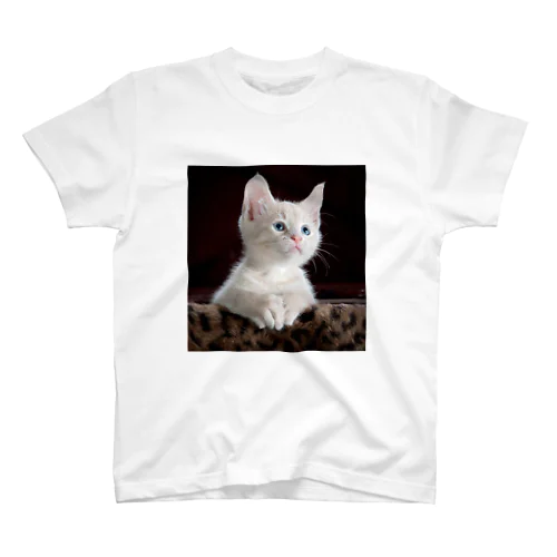 Ty Swartz《A focused kitten》 スタンダードTシャツ