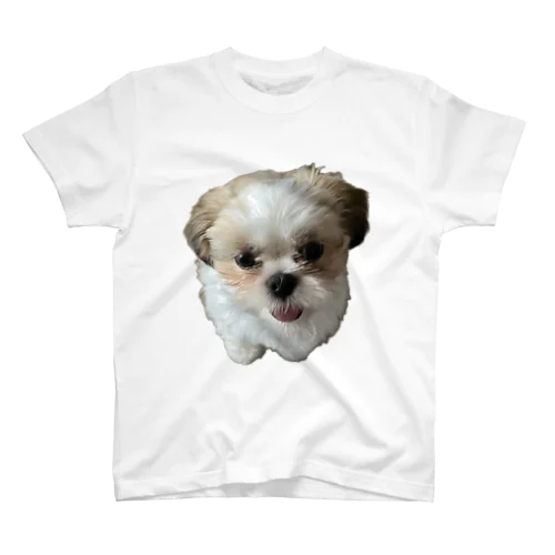 狐月(こつき)の愛犬茶々丸 Regular Fit T-Shirt