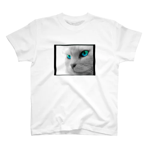 coolcat スタンダードTシャツ