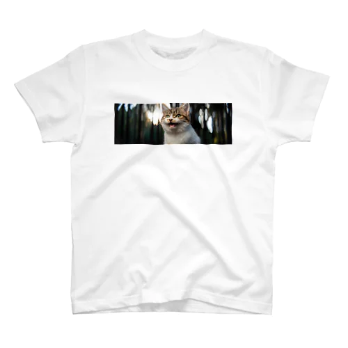 森の中で子猫がニャーン♪ Regular Fit T-Shirt