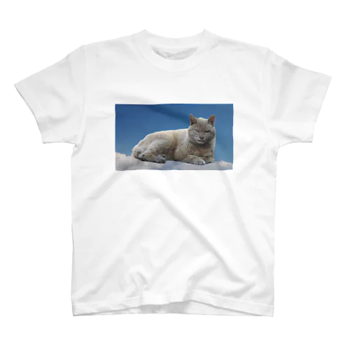 猫と青空 Regular Fit T-Shirt