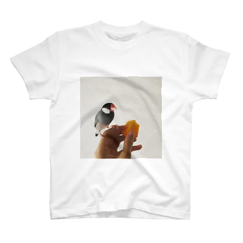 柿と文鳥 Regular Fit T-Shirt