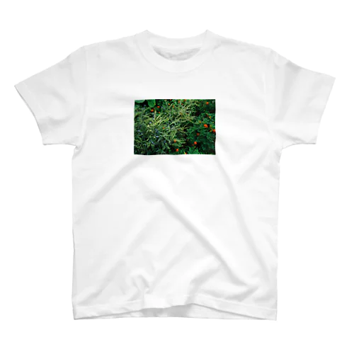 庭の花 Regular Fit T-Shirt