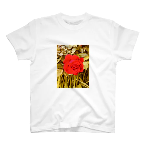 バラの花Tシャツ Regular Fit T-Shirt