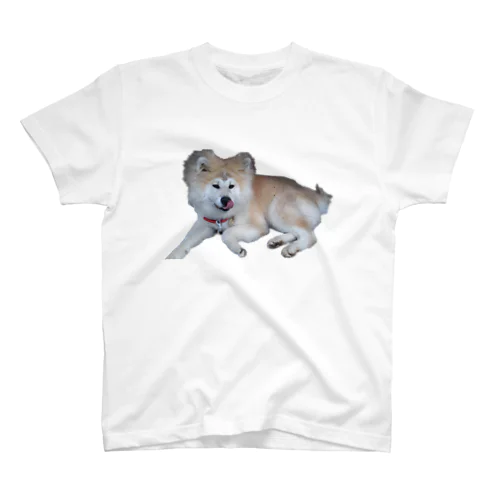 ちっちゃい頃の秋田犬モコで作りました Regular Fit T-Shirt