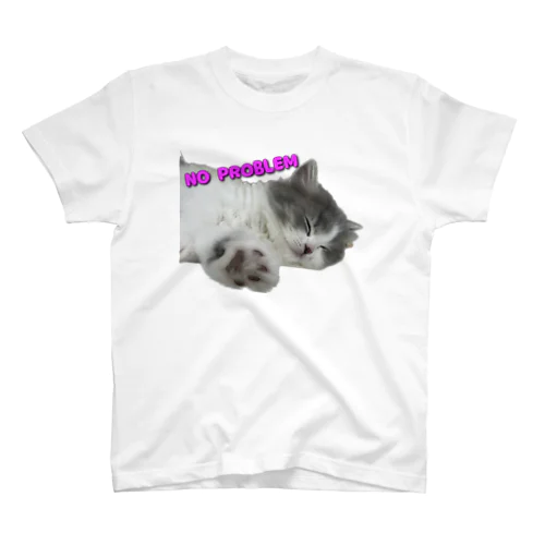 猫は寝ててもNO PROBLEM Regular Fit T-Shirt