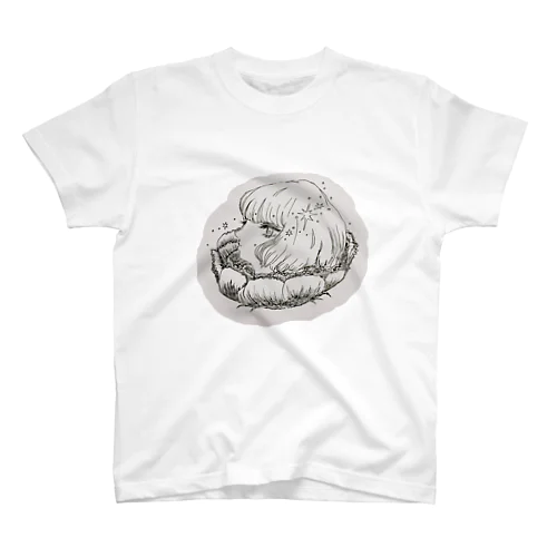 ミズホシ ﹏ Regular Fit T-Shirt