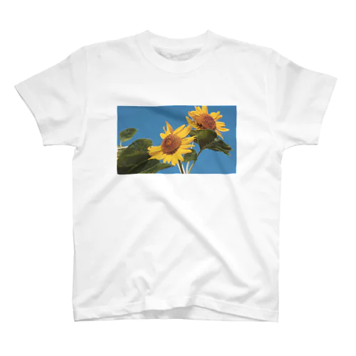 癒しの風景（ヒマワリ） スタンダードTシャツ