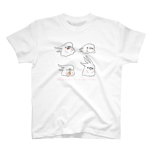 100円ショップにいる謎の鳥 スタンダードTシャツ