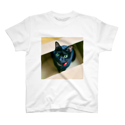ダンボールソムリエの黒猫。 スタンダードTシャツ